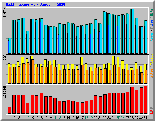 Daily usage for January 2025