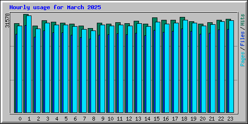 Hourly usage for March 2025