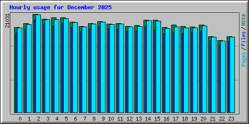 Hourly usage for December 2025