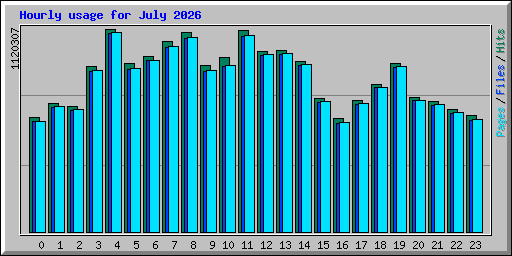 Hourly usage for July 2026